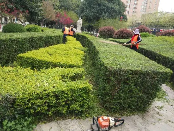 思茅城市园林绿化管理