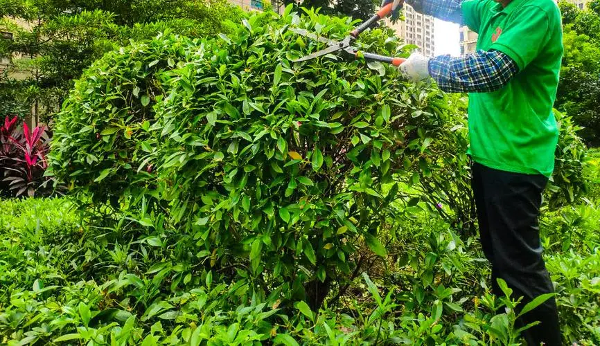 天津市绿化工程服务中心