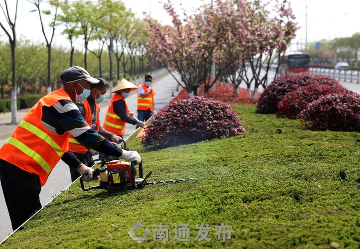 合肥园林绿化工程施工单位