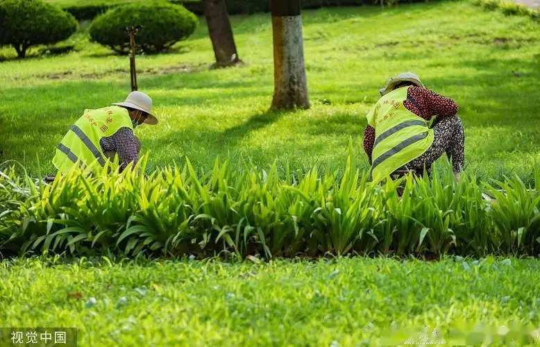 草原园林景观设计